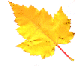 gold leaf 2 (5k)