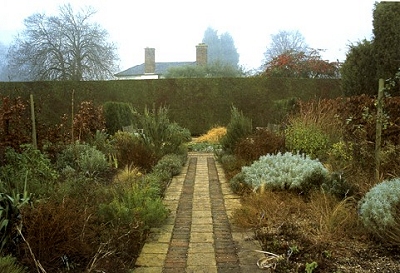 Mixed border in inverno