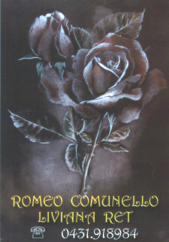 Mostra sulla rosa di Romeo Comunello