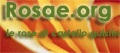 www.rosae.org