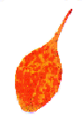 red leaf 5 (13k)