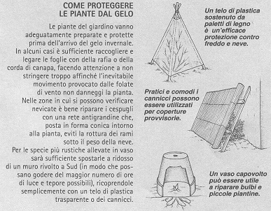 Protezione piante dal gelo