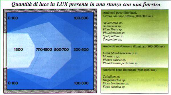 I lux dalla finestra