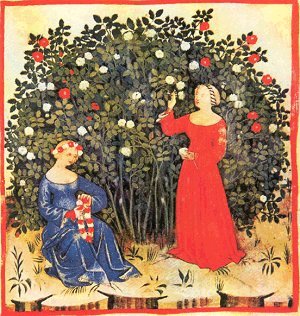 Rose, dal Theatrum Sanitatis, Biblioteca Casanatense, Roma, sec.XIV