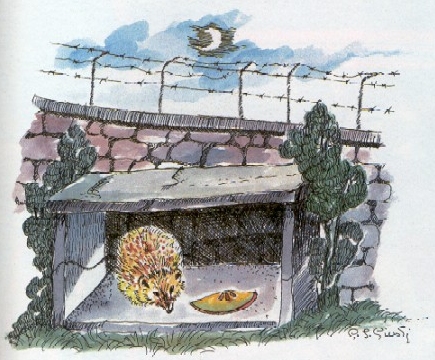 Una casetta per il riccio