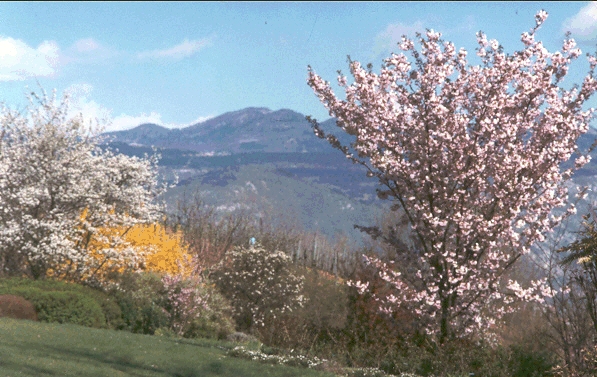 Vista sul paesaggio circostante