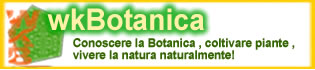 !wkBotanica