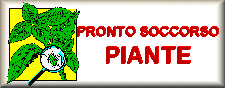 Pronto soccorso piante