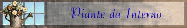 Piante da interno