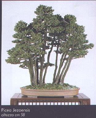 esempio3 