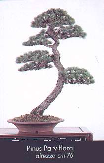 esempio4 