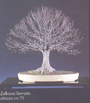 esempio2 