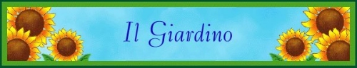 Il giardino
